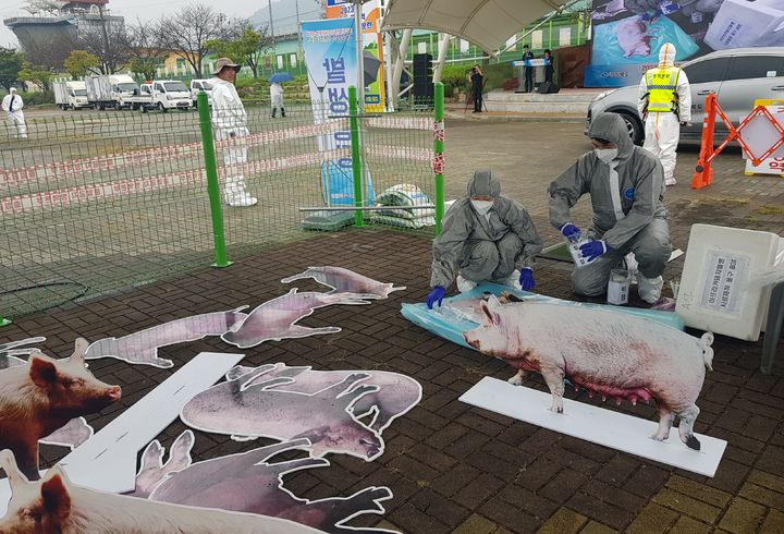 [안동=뉴시스] 지난해 9월20일 문경 영강생활체육공원에서 '아프리카돼지열병 및 구제역 현장대응 가상방역훈련'이 진행되고 있다. (사진=경북도 제공) 2023.09.20 *재판매 및 DB 금지