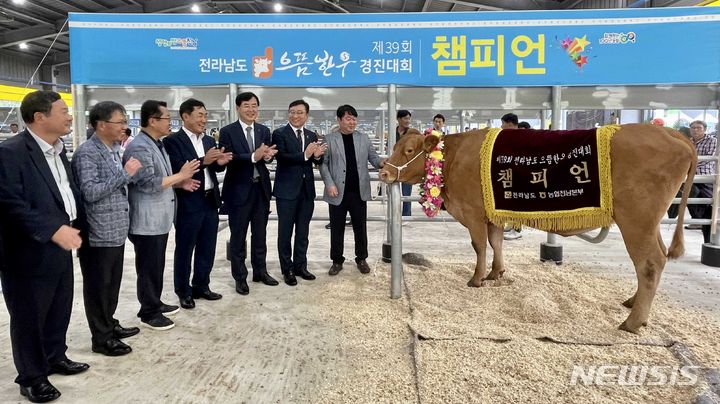 [고흥=뉴시스] 20일 고흥축협 가축시장에서 열린 '제39회 전라남도 으뜸한우 경진대회'에서 강진군 박경훈 농가가 우량한우 종합챔피언상을 받았다. (사진=전남도 제공) 2023.09.20. photo@newsis.com