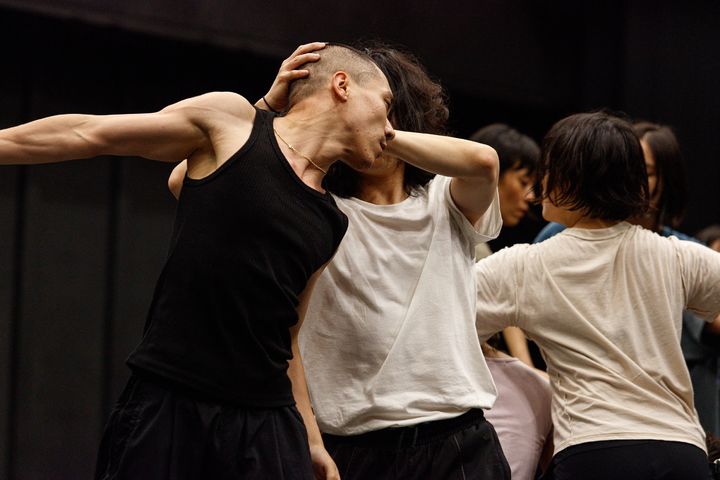국립현대무용단 '정글-감각과 반응' 연습 장면. (사진=국립현대무용단 제공) photo@newsis.com *재판매 및 DB 금지