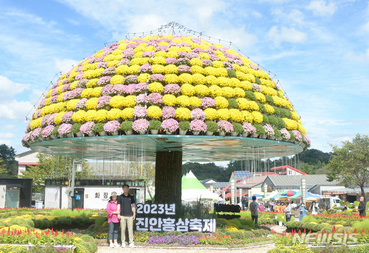 [진안=뉴시스] 김얼 기자 = 2023 진안 홍삼축제 개막일인 22일 전북 진안군 마이산 북부 일원에 대형 조형물이 아름답게 꾸며져 있다. 2023.09.22. pmkeul@nwsis.com