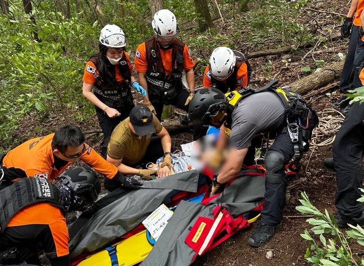 영동 야산에서 벌에 쏘인 50대 남성 사망