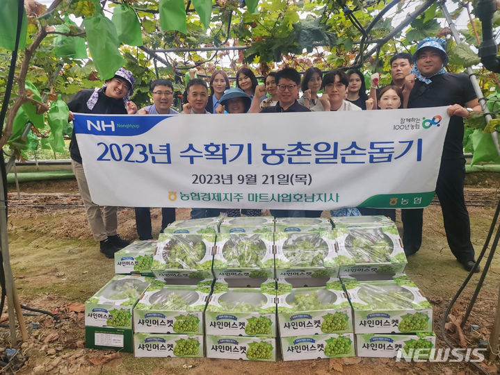 [광주=뉴시스]농협경제지주 마트사업호남지사(지사장 염동준)는 21일 광주시 광산구 도덕마을 일대 포도농장에서 수확기 농촌일손돕기 봉사활동을 했다. 