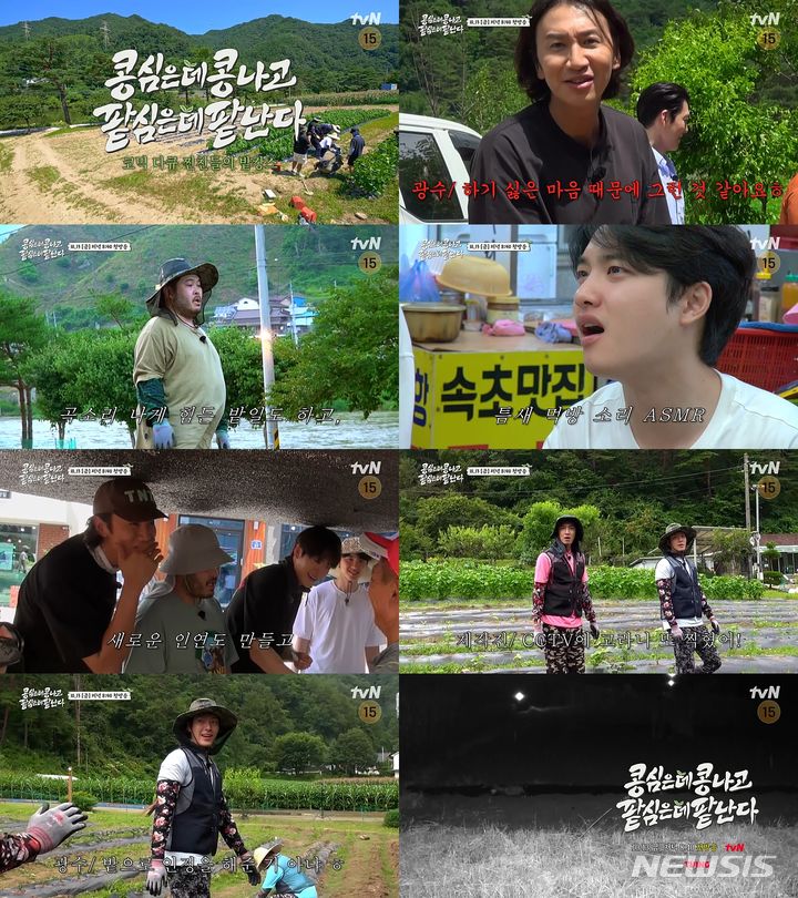 [서울=뉴시스] tvN 예능 '콩 심은 데 콩 나고 팥 심은 데 팥 난다' 티저. (사진= tvN 예능 '콩 심은 데 콩 나고 팥 심은 데 팥 난다' 티저 영상 캡처) 2023.09.25. photo@newsis.com