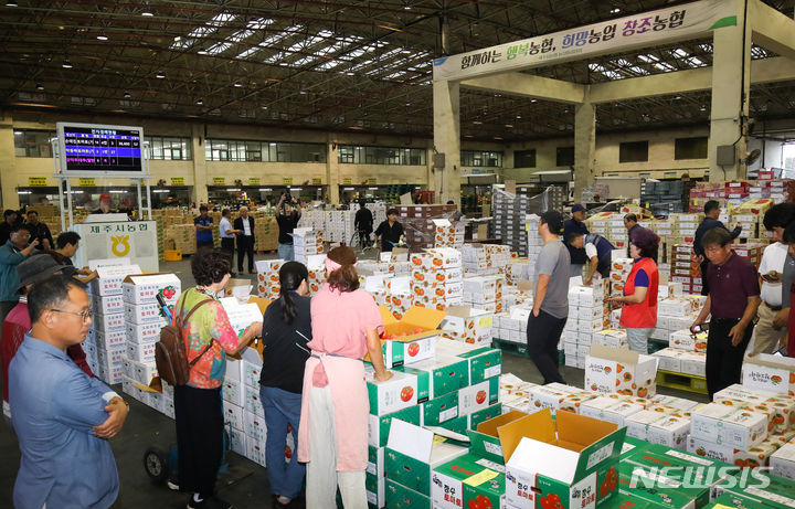 [제주=뉴시스] 우장호 기자 = 추석 연휴를 사흘 앞둔 25일 오전 제주시농협 농산물공판장에서 전국 각지에서 건너온 햇과일 경매가 진행되고 있다. 2023.09.25. woo1223@newsis.com