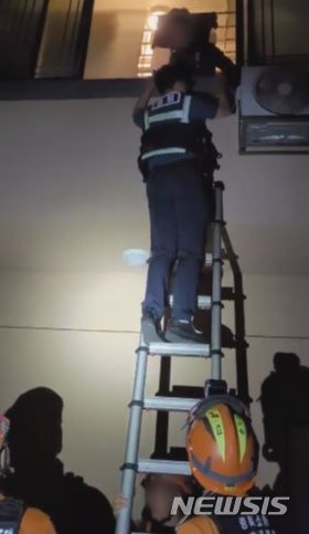 [청주=뉴시스] 사진=독자제공