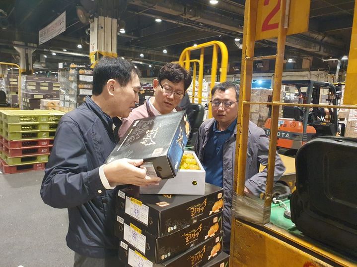 [제주=뉴시스] 문경삼(가운데) 제주도 농축산식품국장이 지난 25일 오전 2시께 서울 가락도매시장에서 감귤 유통 상황을 점검하고 있다. (사진=제주도 제공) 2023.09.26. photo@newsis.com *재판매 및 DB 금지