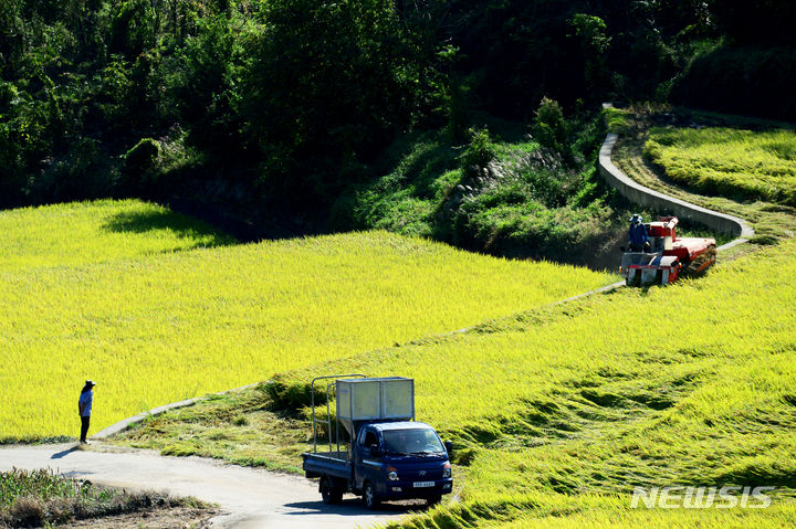 [남해=뉴시스] 차용현 기자 = 27일 오전 경남 남해군 설천면 들녘에서 농부들이 콘바인으로 벼를 수확하고 있다. 2023.09.27. con@newsis.com