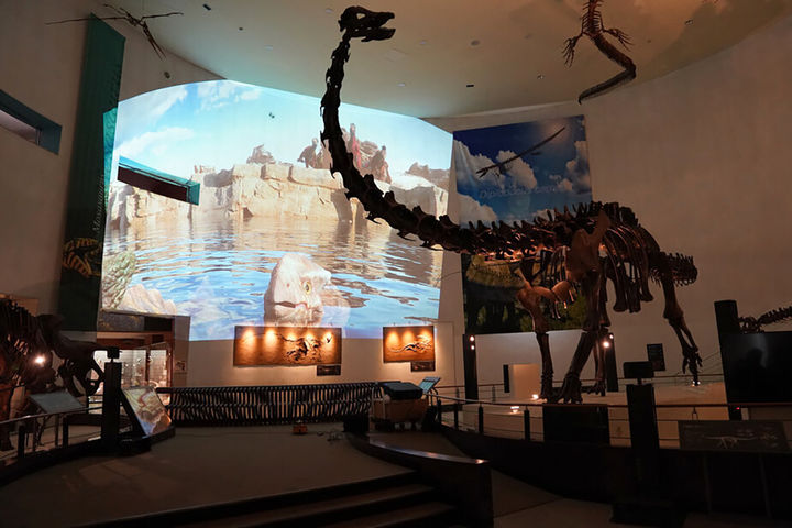 [목포=뉴시스] 목포자연사박물관. *재판매 및 DB 금지