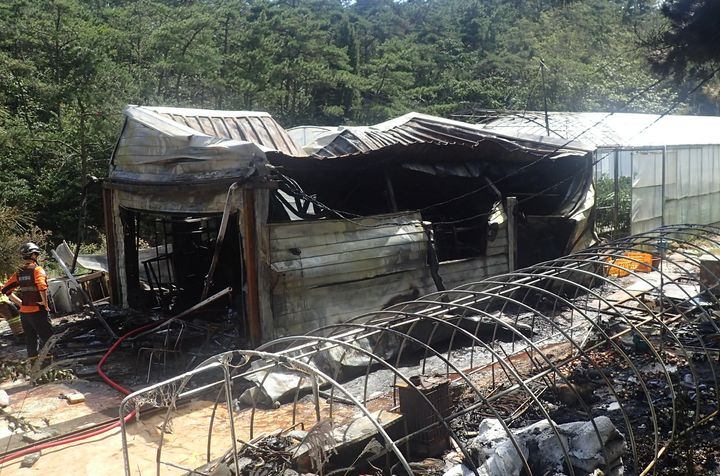 [부산=뉴시스] 28일 오전 부산 기장군의 한 농막에서 원인이 밝혀지지 않은 불이 났다. (사진=부산소방재난본부 제공) *재판매 및 DB 금지