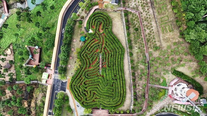 [창원=뉴시스] 경남 산청군 금서면 동의보감촌에서 열리는 '2023 산청세계전통의약항노화엑스포'의 미로공원체험존.(사진=경남도 제공)2023.09.29. photo@newsis.com