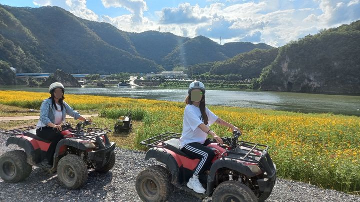 [뉴시스 앵글] 가을꽃 물결 단양 도담정원, 황금연휴 관광객 유혹