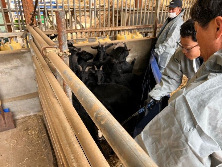 [거창=뉴시스] 거창군청 백신 일제접종 *재판매 및 DB 금지 *재판매 및 DB 금지