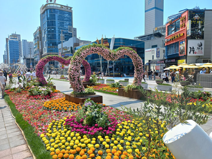 [부산=뉴시스] 지난해 구남로 일대에서 진행됐던 봄꽃 축제 전경 (사진=해운대구 제공) *재판매 및 DB 금지
