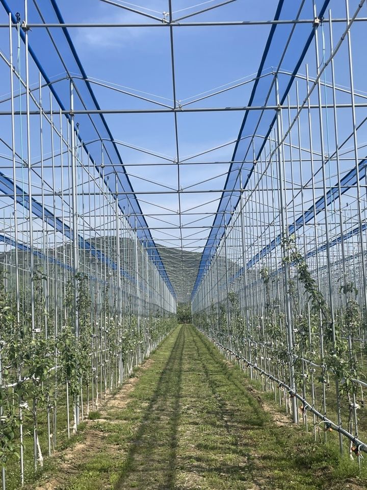 [안동=뉴시스] 미래형 과원 *재판매 및 DB 금지