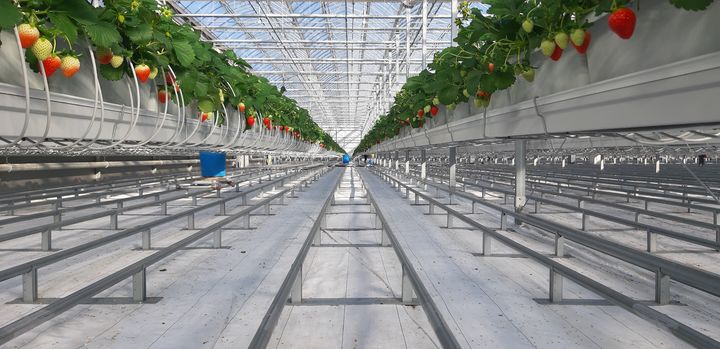 [안동=뉴시스] 스마트 온실 *재판매 및 DB 금지