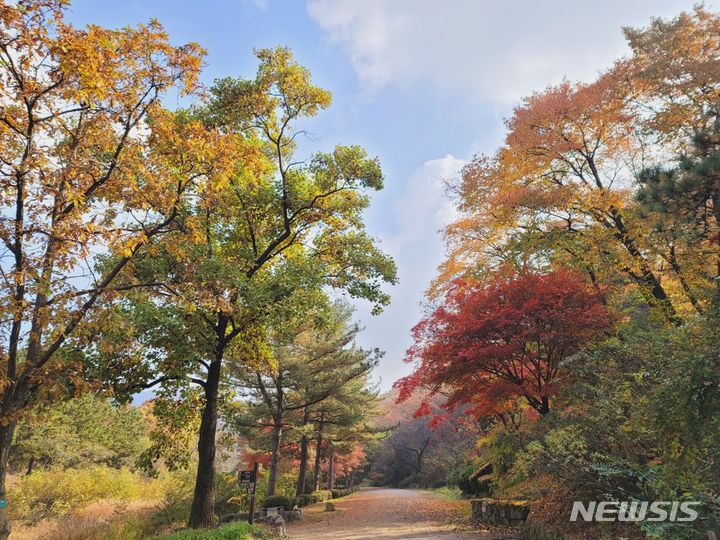 관악수목원 단풍, 2022