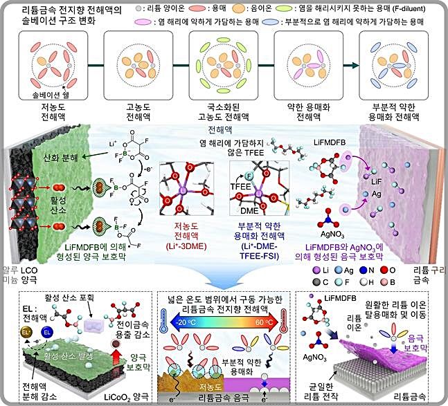 [대전=뉴시스] 전해액 솔베이션 구조의 변화(위)와 개발 전해액 조성의 작동 메커니즘 모식도.(사진=KAIST 제공) *재판매 및 DB 금지
