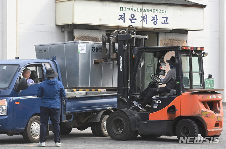 [용인=뉴시스] 김종택기자 = 정부의 공공비축미 매입 계획 확정에 따라 2023년산 공공비축미 매입이 시작된 4일 용인시 처인구 원삼면 용인통합 RPC(미곡종합처리장)에서 관계자들이 벼 수매통에 담긴 햇벼를 분주히 옮기고 있다. 2023.10.04. jtk@newsis.com