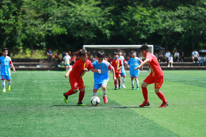 태백시 리틀디비전컵 축구대회. *재판매 및 DB 금지