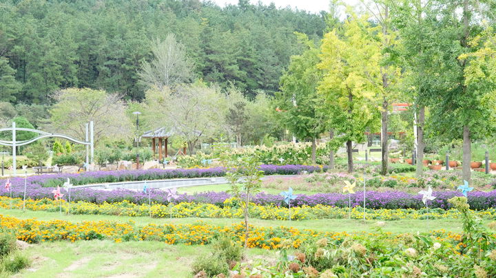 [영동=뉴시스] 안성수 기자 = 가을빛으로 물들고 있는 충북 영동군 노근리 평화공원. (사진=영동군 제공) 2023.10.6. photo@newsis.com *재판매 및 DB 금지