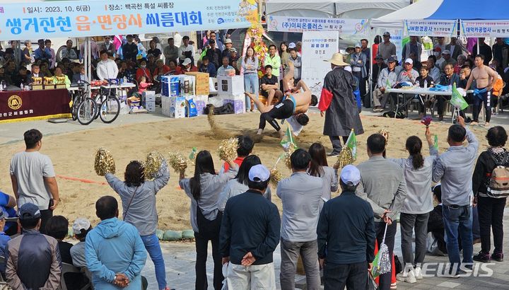 [진천=뉴시스] 강신욱 기자 = 6일 충북 진천군 진천읍 백곡천 둔치에서 개막한 44회 생거진천문화축제 읍면 장사씨름대회가 많은 관중이 응원하는 가운데 진행되고 있다. 2023.10.06. ksw64@newsis.com 