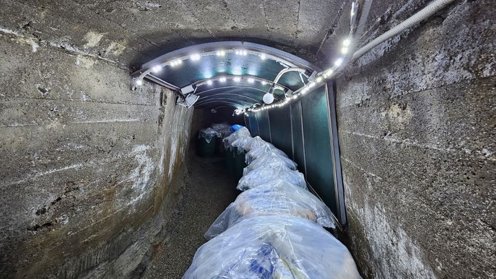 광천토굴새우젓. 박주연 기자 photo@newsis.com *재판매 및 DB 금지