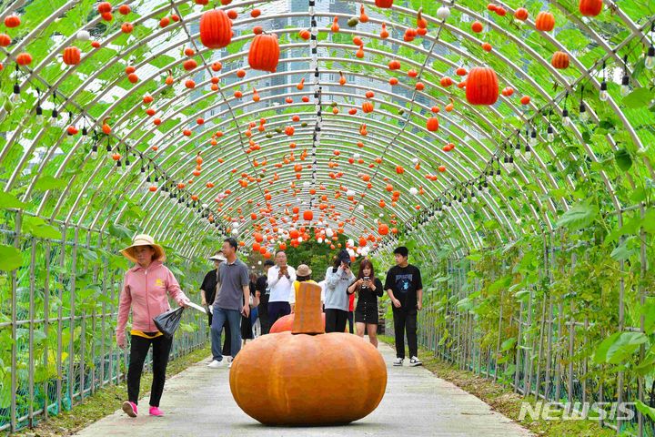 [장성=뉴시스] 이창우 기자=장성 황룡강 대박터널. (사진=장성군 제공) 2023.10.09. photo@newsis.com