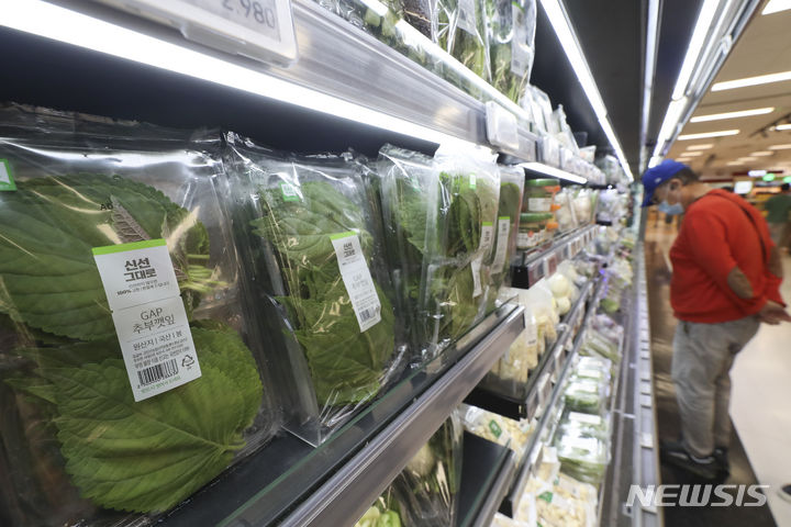 [서울=뉴시스] 김근수 기자 = 지난 10일 서울 용산구의 한 대형마트에서 한 소비자가 채소를 고르고 있다. 한국농수산식품유통공사(aT) 농산물유통정보에 따르면 주요 농산물 품목별 소배가격이 작년에 비해 상추는 적상추 53.6%, 깻잎은 14.9% 상승했다고 밝혔다 2023.10.10. ks@newsis.com