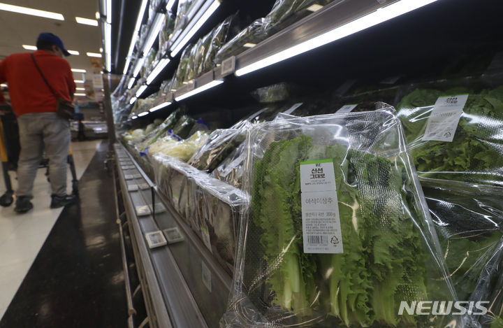 [서울=뉴시스] 김근수 기자 = 지난 10일 서울 용산구의 한 대형마트에서 한 소비자가 채소를 고르고 있다. 한국농수산식품유통공사(aT) 농산물유통정보에 따르면 주요 농산물 품목별 소배가격이 작년에 비해 상추는 적상추 53.6%, 깻잎은 14.9% 상승했다고 밝혔다 2023.10.10. ks@newsis.com