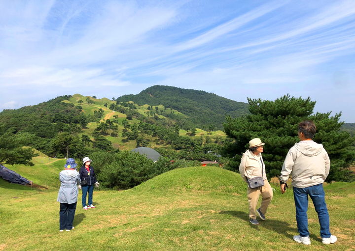 지산동 고분군. 고령군 제공 *재판매 및 DB 금지