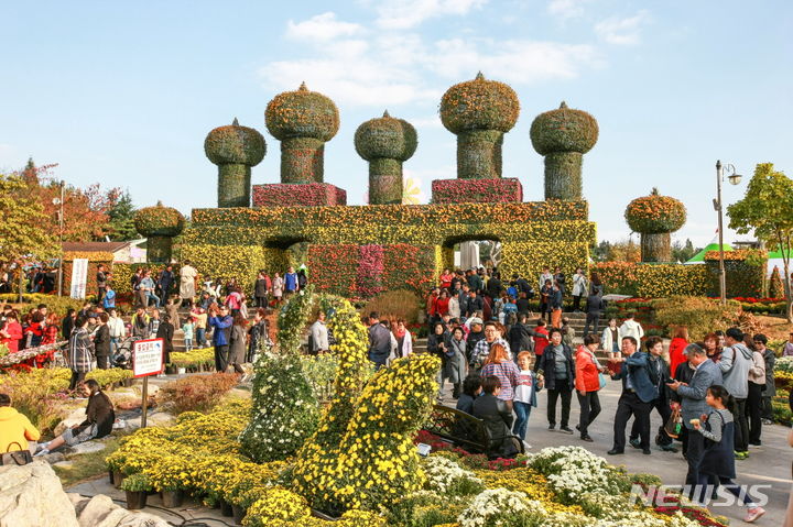 익산 천만 송이 국화축제 (사진=익산시 제공)