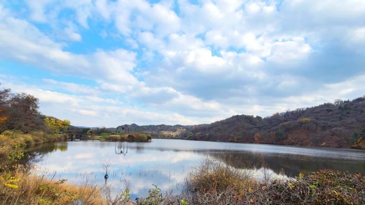 호암미술관 전통 희원 호수가에 설치된 루이즈 부르즈아의 거미(마망). 전 세계에서 유일하게 대자연속에 세워진 거미는 압도적인 조각의 아름다움을 뽐낸다. *재판매 및 DB 금지