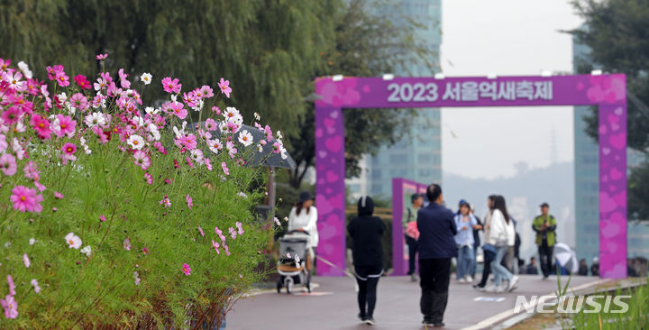 [서울=뉴시스] 김금보 기자 = 가을비가 내린 14일 서울 마포구 하늘공원에서 열린 '서울억새축제'를 찾은 시민들이 억새밭 사이를 이동하고 있다. 2023.10.14. kgb@newsis.com