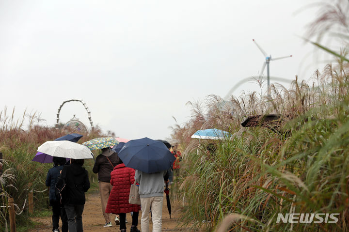[서울=뉴시스] 김금보 기자 = 가을비가 내린 14일 서울 마포구 하늘공원에서 열린 '서울억새축제'를 찾은 시민들이 억새밭 사이를 이동하고 있다. 2023.10.14. kgb@newsis.com