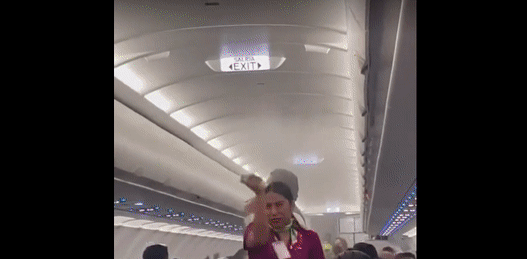 멕시코로 향하는 비행기 안에 모기 떼가 등장해 이륙이 지연되는 일이 발생했다. (사진=트위터 캡처) *재판매 및 DB 금지