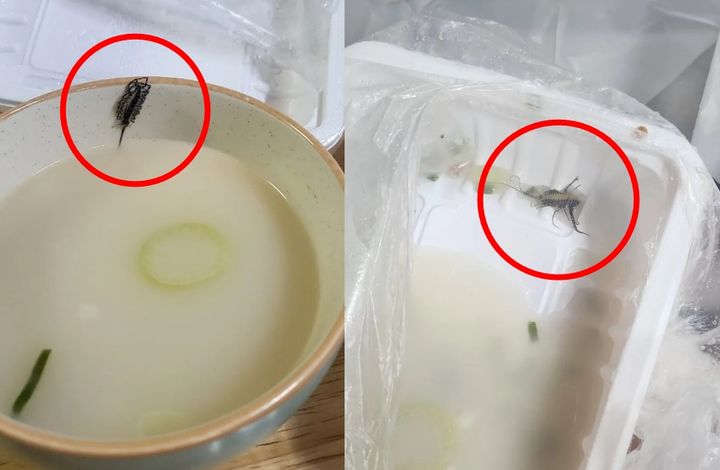 (사진=온라인 커뮤니티 '아프니까 사장이다' 캡처본) *재판매 및 DB 금지