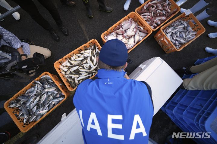 [이와키=AP/뉴시스]국제원자력기구(IAEA) 전문가팀이 19일 일본 동북부 이와키시의 히사노하마항에서 어류를 관찰하고 있다. 이들은 후쿠시마 제1원자력발전소가 처리된 방사성 폐수를 바다에 방출하기 시작한 이후 첫 번째 해양 샘플 추출 임무를 위해 후쿠시마를 방문하고 있다. 2023.10.19.