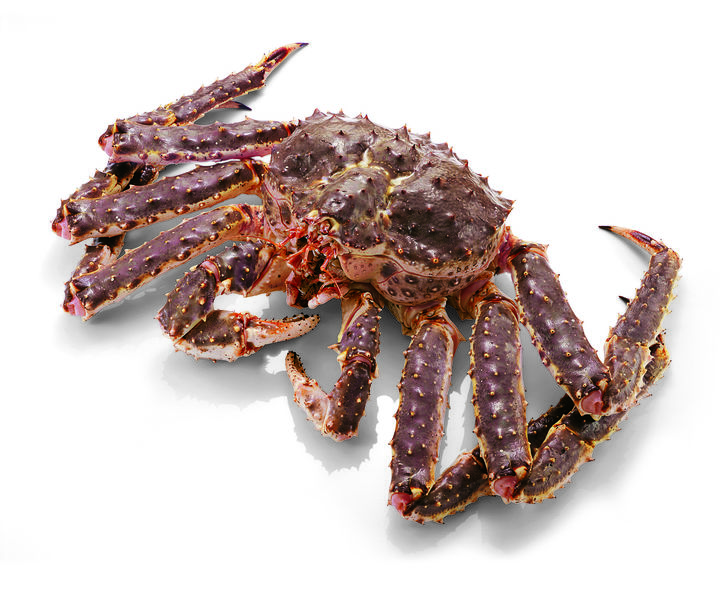 (사진=이마트 제공) *재판매 및 DB 금지