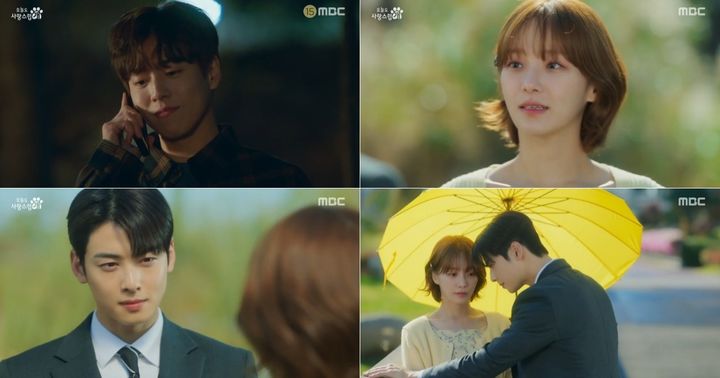 오늘도 사랑스럽개