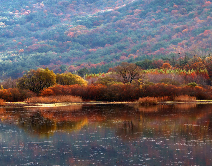 [고창=뉴시스] 전북 고창 운곡람사르습지 풍경. (사진=뉴시스 DB). photo@newsis.com *재판매 및 DB 금지