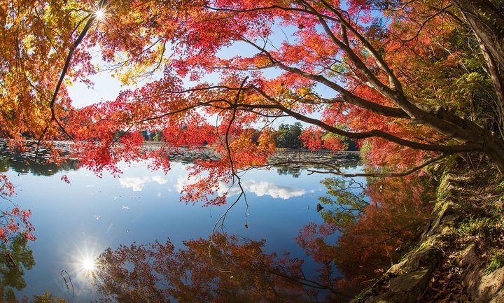 유후인의 모습.(사진=노랑풍선 제공) *재판매 및 DB 금지