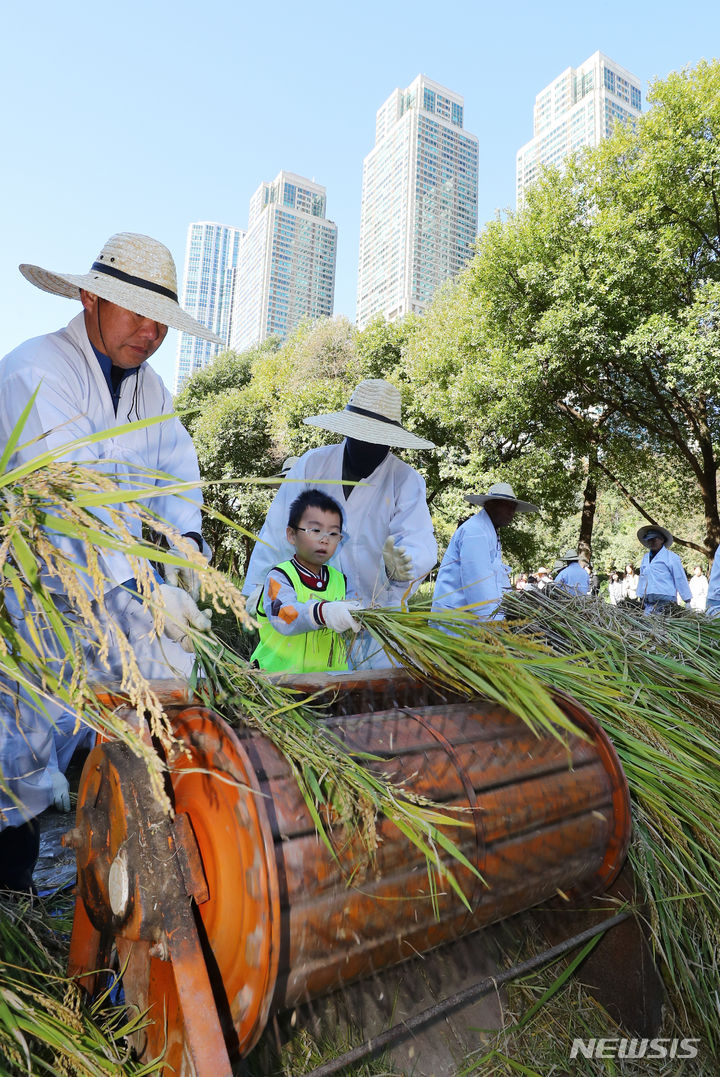 [서울=뉴시스] 최진석 기자 = 20일 서울 강남구 양재천에서 열린 2023 양재천 전통 벼베기 체험 행사에서 어린이가 벼탈곡 체험을 하고 있다. 2023.10.20. myjs@newsis.com