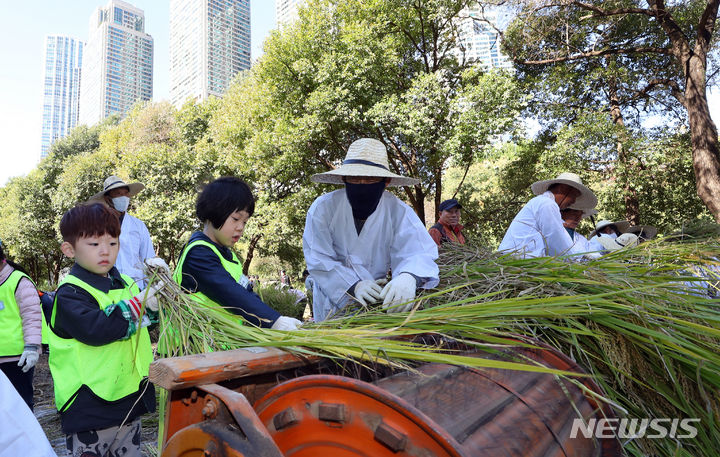 [서울=뉴시스] 최진석 기자 = 20일 서울 강남구 양재천에서 열린 2023 양재천 전통 벼베기 체험 행사에서 어린이들이 벼탈곡 체험을 하고 있다. 2023.10.20. myjs@newsis.com