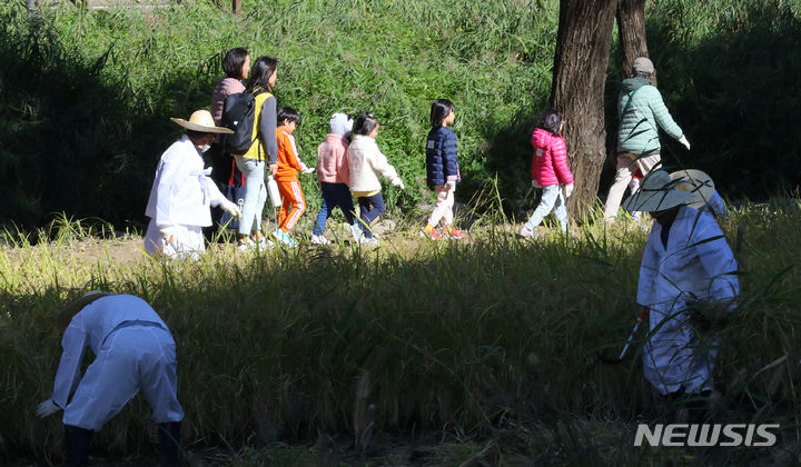 [서울=뉴시스] 최진석 기자 = 20일 서울 강남구 양재천에서 열린 2023 양재천 전통 벼베기 체험 행사에서 어린이들이 논을 따라 이동하고 있다. 2023.10.20. myjs@newsis.com
