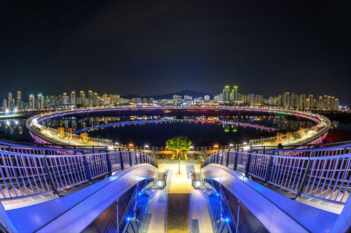 [세종=뉴시스] 세종시 대표 랜드마크인 이응다리 야경.(사진=뉴시스 DB). photo@newsis.com *재판매 및 DB 금지