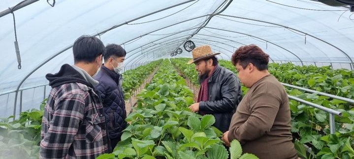 [거창소식]청년후계농 영농정착 현장지원단 운영 등