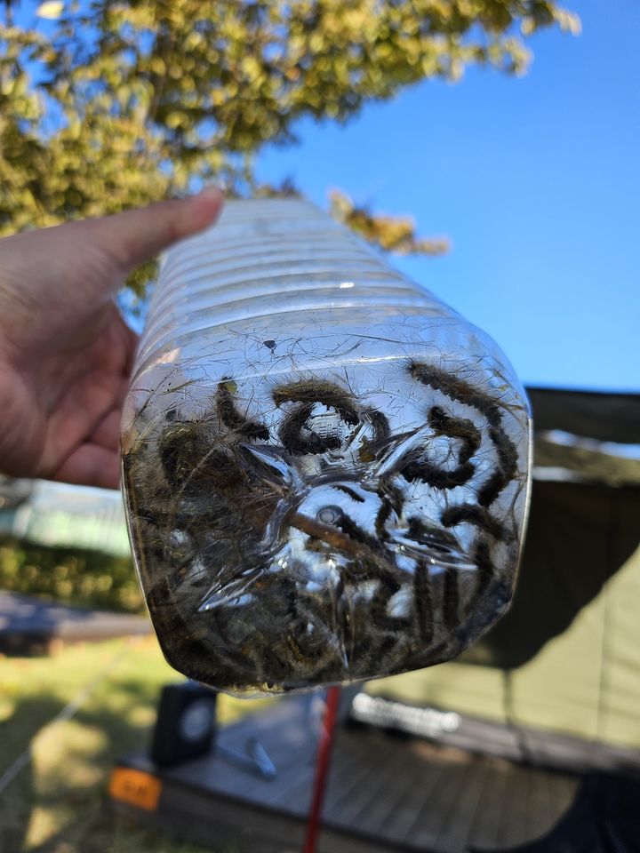 (사진=SNS X 캡처본) *재판매 및 DB 금지