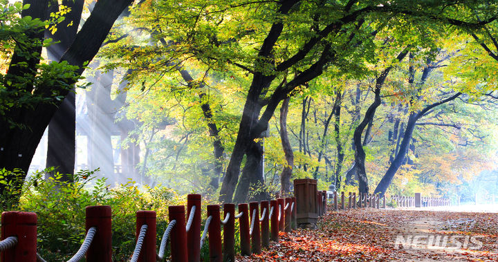 경남 함양군 상림숲길