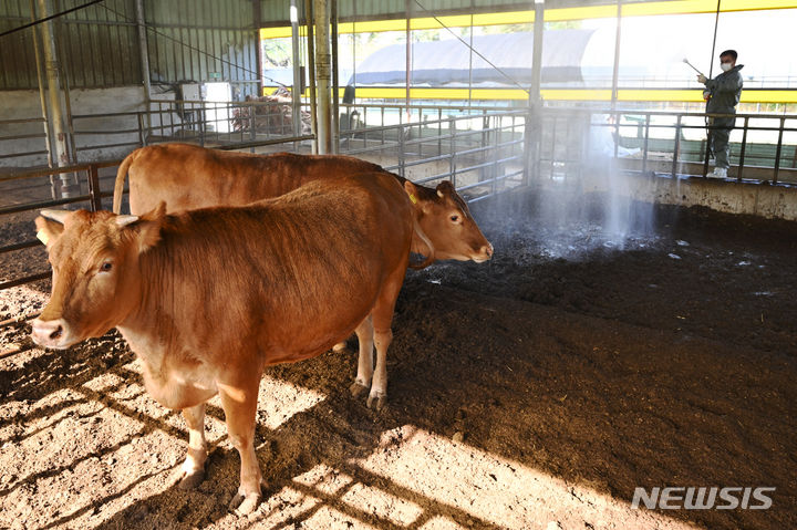 농식품 부산물 사료로 한우농가 경영 안정 돕는다