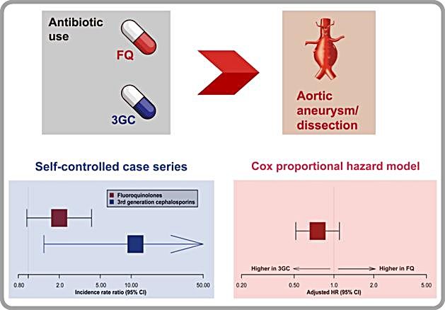 [대전=뉴시스] 콕스비례위험모형(Cox proportional hazard model)과 자기-대조 환자군 연구(self-controlled case series) 결과.(사진=가천의대 정재훈 교수 제공) *재판매 및 DB 금지